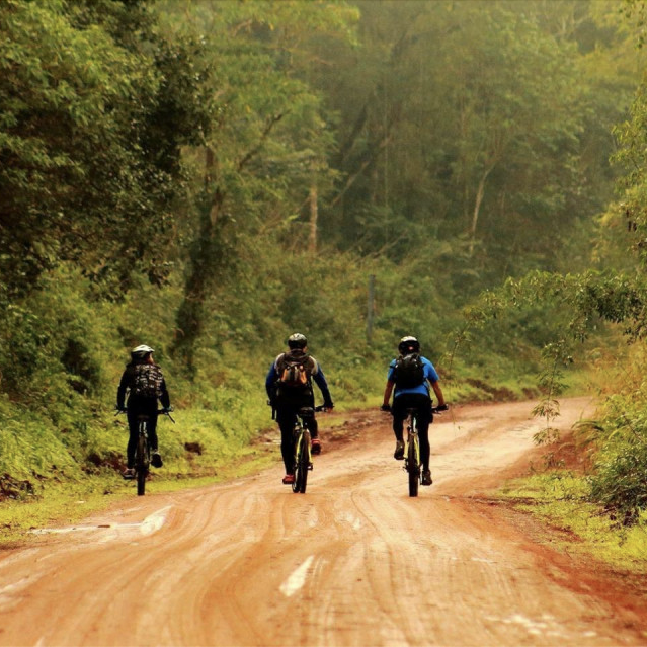 YAGUARETÉ ROAD, IGUAZÚ