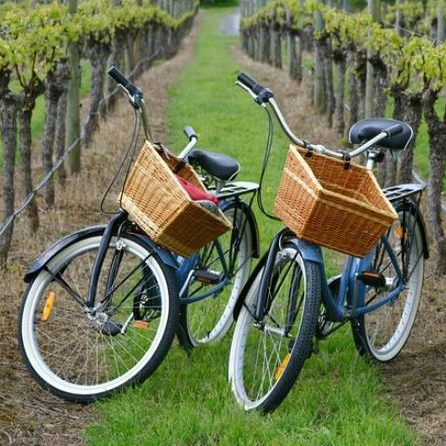 MENDOZA BIKE & WINE