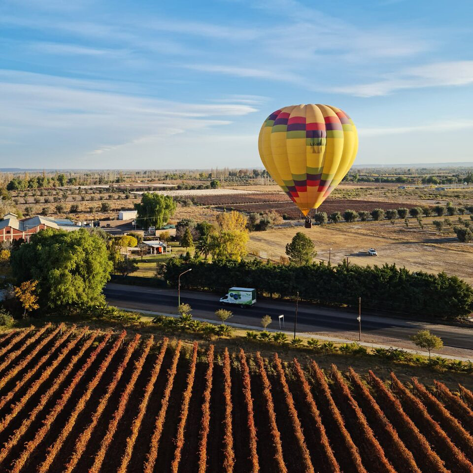 MENDOZA PARA ENTENDIDOS