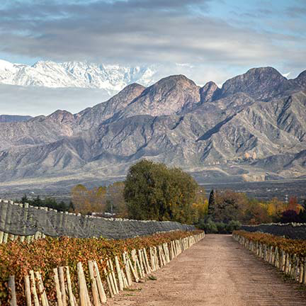 MENDOZA INDISPENSABLE