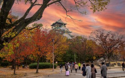 JAPÓN, UN VIAJE PARA HACER ACOMPAÑADO