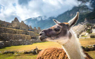 PERÚ MÁGICO