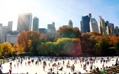 NEW YORK EN NOVIEMBRE Y DICIEMBRE