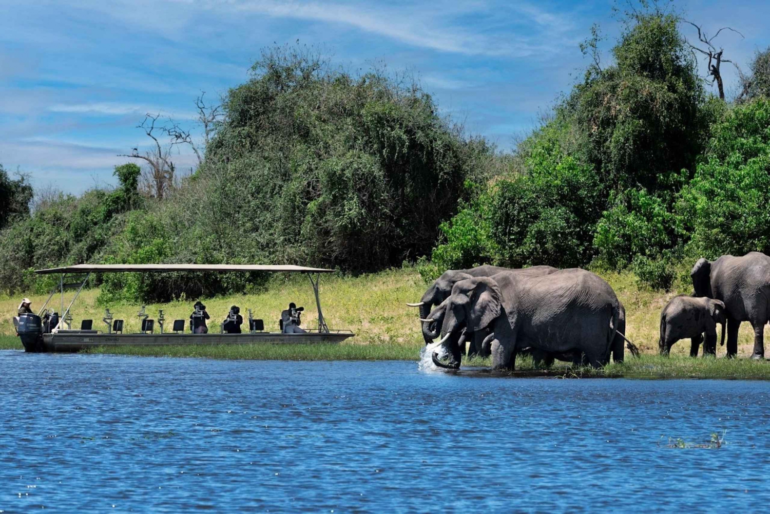 AFRICA 4