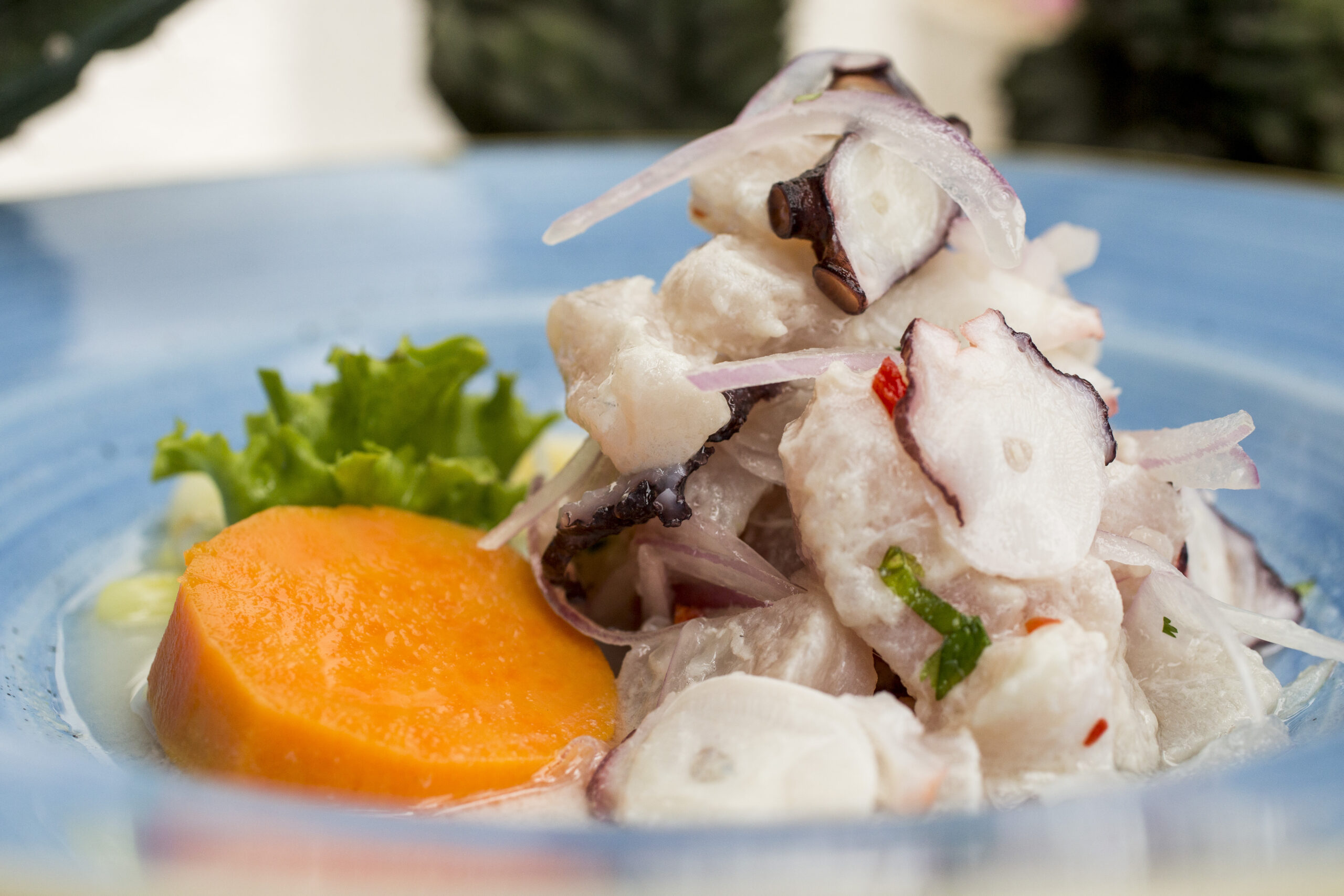 Museo Larco Café-Restaurant_Food & Drinks (3)