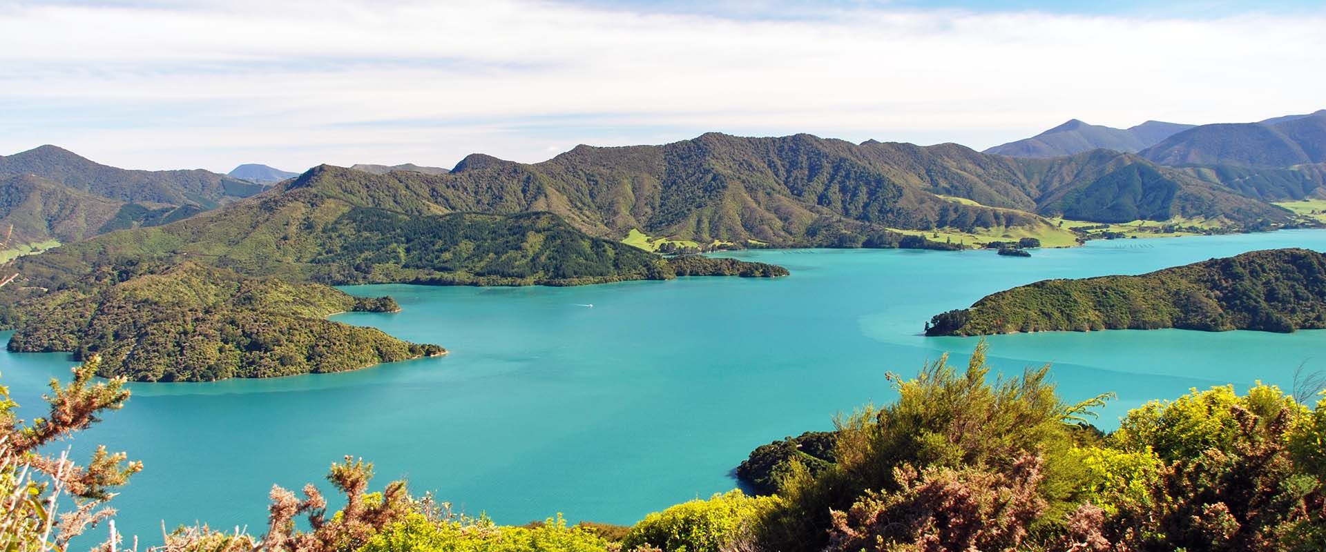 cruise--new-zealand-marlborough-sounds-xl