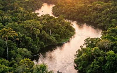 La Amazonia Brasilera